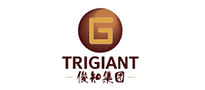 俊知集團有限公司-國內5G建設的代表企業